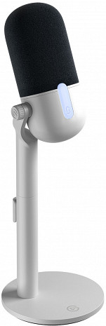 Mikrofons  10MAI9901