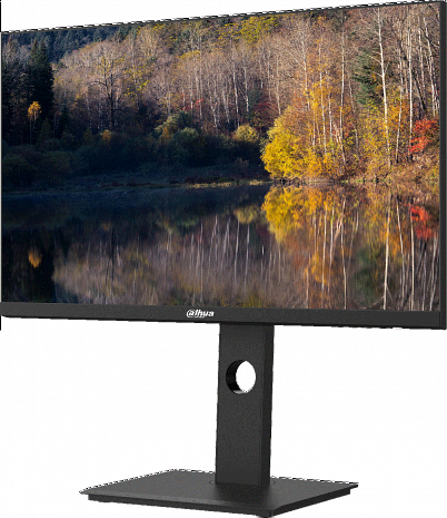 Monitors  LM24-P301A