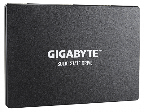 SSD disks  GP-GSTFS31240GNTD