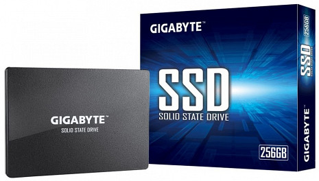 SSD disks GP-GSTFS31256GTND GP-GSTFS31256GTND