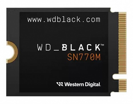 SSD disks Black SN770M WDS500G3X0G
