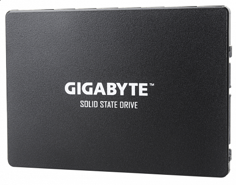 SSD disks  GP-GSTFS31240GNTD