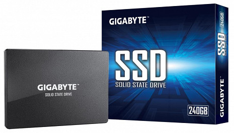 SSD disks  GP-GSTFS31240GNTD